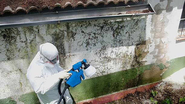 Top rated local Attic Mold Removal specialists in Carlisle, PA